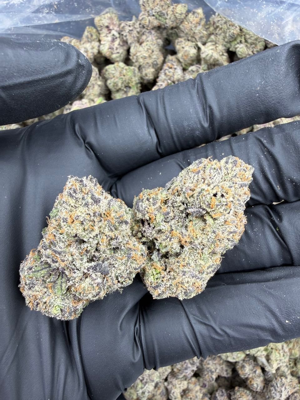 Rainbow Cherry — Barewoods Wholesale